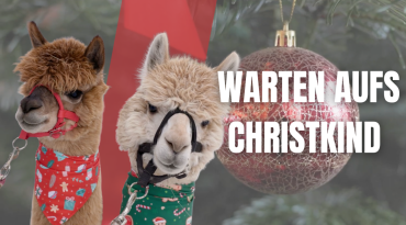 Thumbnail-Bild zum Video