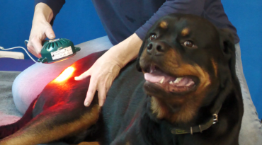 {c_m2_video_item_thumbnail_alt}