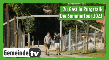 Thumbnail-Bild zum Video