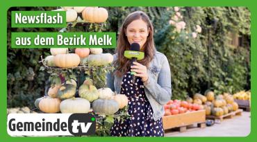 Thumbnail-Bild zum Video
