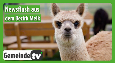Thumbnail-Bild zum Video