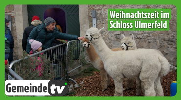 Thumbnail-Bild zum Video
