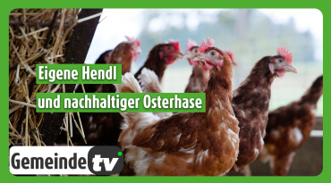 Thumbnail-Bild zum Video