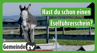 {c_m2_video_item_thumbnail_alt}