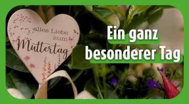 Thumbnail-Bild zum Video