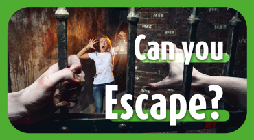 Thumbnail-Bild zum Video