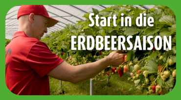 Thumbnail-Bild zum Video